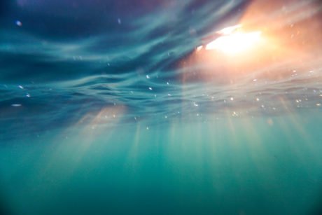 Cardano (ADA) Surges 15% Higher: Here’s What Analysts Think Comes Next