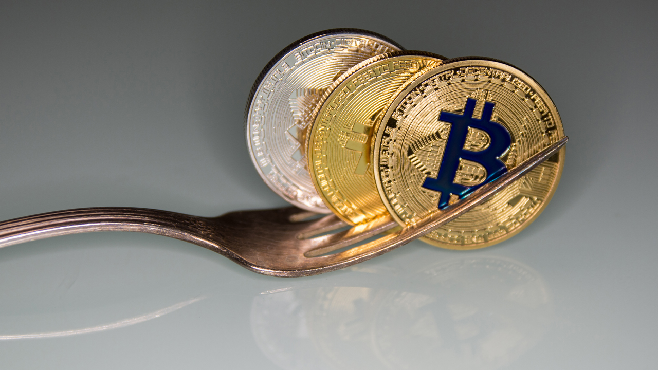 Over 40 Bitcoin Forks Are Down More Than 98% Since 2017’s Forking Fiesta